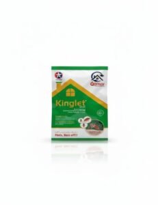 Kinglet