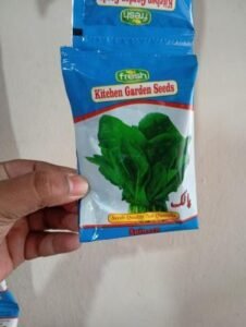 Spanish Palak (Spinach Seeds)