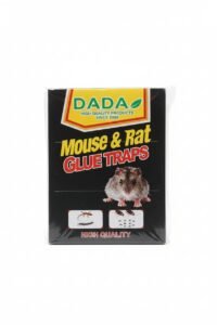 Rat Book (Rat Glue Pad)