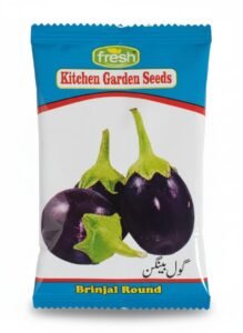 Brinjal / Eggplant
