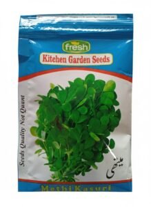 Fresh Methi (Fenugreek Seeds)