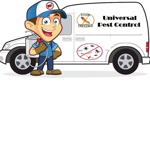 Universal Pest Control Pakistan termite control services