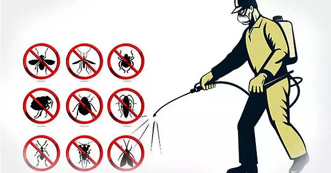 Universal Pest Control Pakistan termite control services